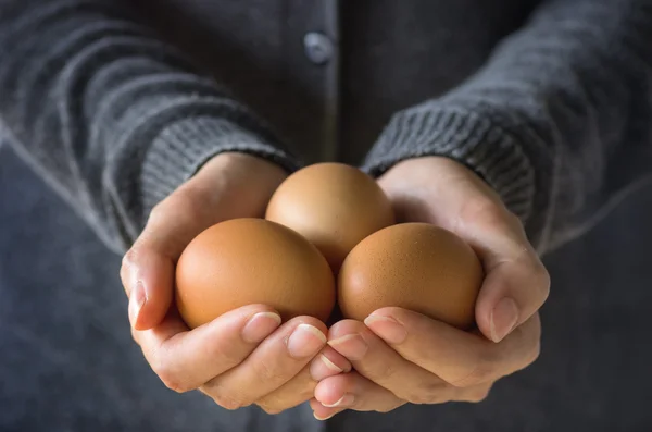 Fresh organic eggs. — Stock Photo, Image