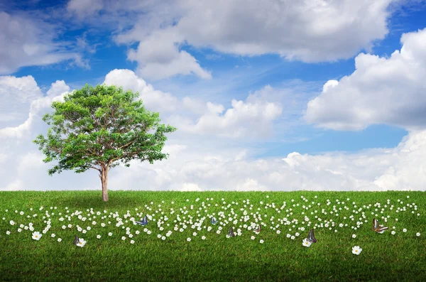 Champ, fleurs, arbres et ciel — Photo