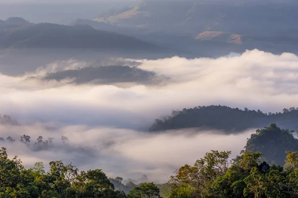 Beautiful Morning Fog Valley Northern Thailand Mae Hong Son Ban — Stock Photo, Image