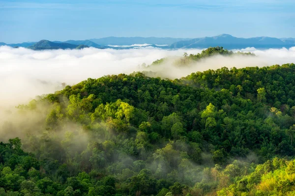 Beautiful Mist Green Forest Mountain Aerial View Sunrise Mountain Range — Stock Photo, Image