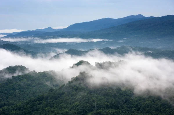 Mooie Mist Groen Bos Berg Luchtfoto Zonsopgang Bergketen Het Noorden — Stockfoto