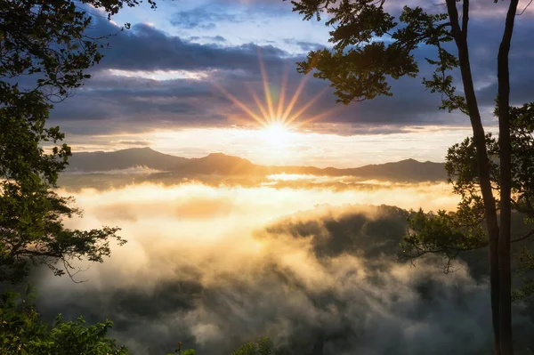 Vista Aérea Hermoso Paisaje Matutino Luz Dorada Amanecer Niebla Fluye — Foto de Stock