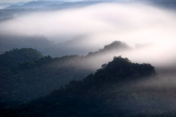 Vue Aérienne Beau Brouillard Dans Forêt Aux Montagnes Verdoyantes — Photo