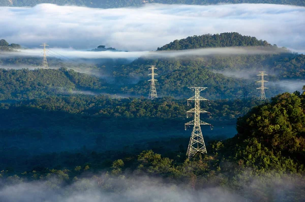 Transmission Věž Zeleném Lese Krásná Ranní Jemná Mlha Energetický Environmentální — Stock fotografie