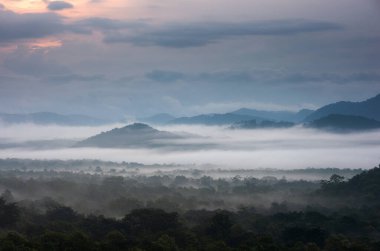 Hava görüntüsü. Yeşil dağları olan ormandaki güzel sis..