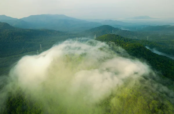 Vista Aerea Torre Trasmissione Foresta Verde Bella Mattina Nebbia Liscia — Foto Stock