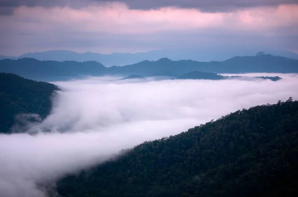 Красивый Туман Утреннем Лесу Зелеными Горами Huai Kub Kab Mae — стоковое фото