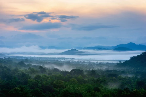 Aerial View Beautiful Fog Forest Green Mountains — Stock Photo, Image