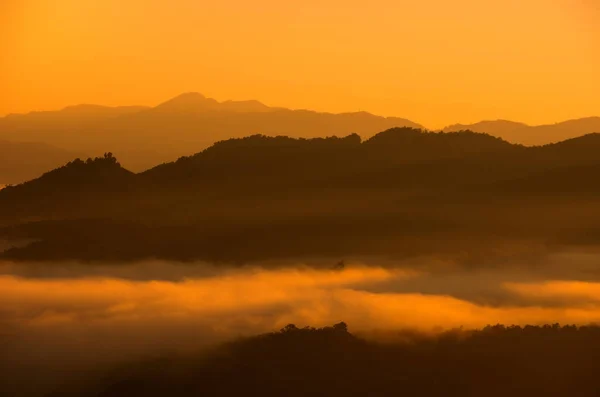 Beau Brouillard Lumière Dorée Dans Forêt Matin Avec Des Montagnes — Photo