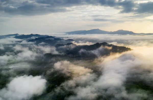 Bella Nebbia Nella Foresta Del Mattino Con Montagne Verdi Pang — Foto Stock