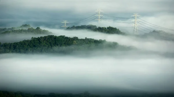 Vue Aérienne Tour Transmission Forêt Verdoyante Beau Brouillard Lisse Matin — Photo