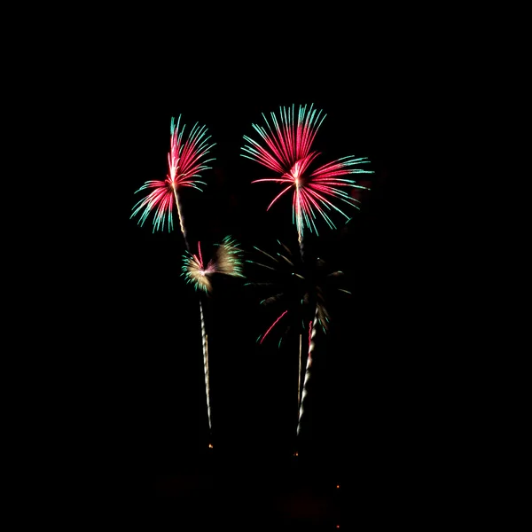 Fuochi d'artificio — Foto Stock