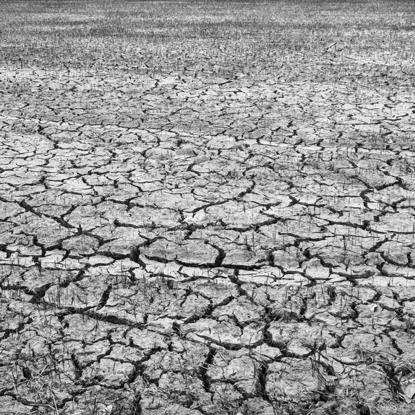 Droge gebarsten grond. — Stockfoto