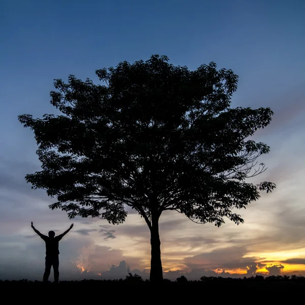 Silhouette d'arbres et homme heureux . — Photo