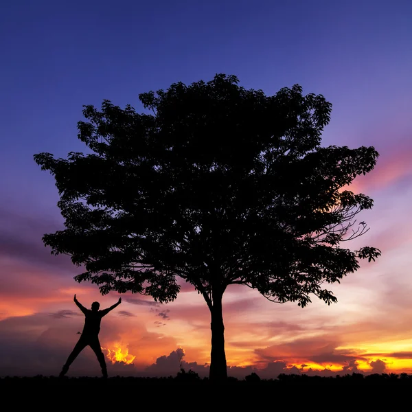 Silhouette von Bäumen und glücklichem Mann. — Stockfoto