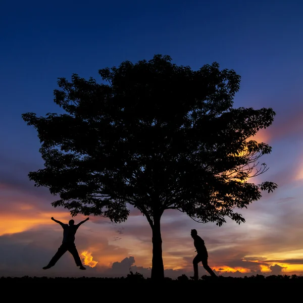 Silhouette d'arbres et d'hommes heureux — Photo