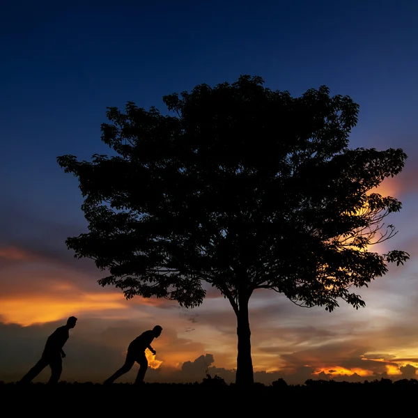 Silhouette d'arbres et deux hommes heureux — Photo