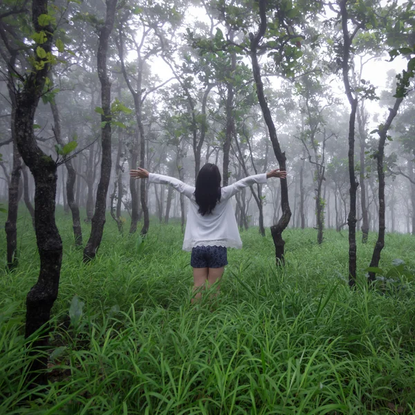 Woman with hands up in forest — Stock Photo, Image