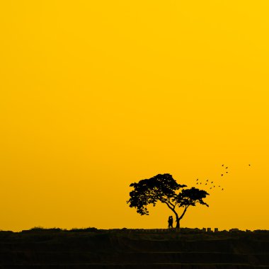 Siluet çift ve ağaç.