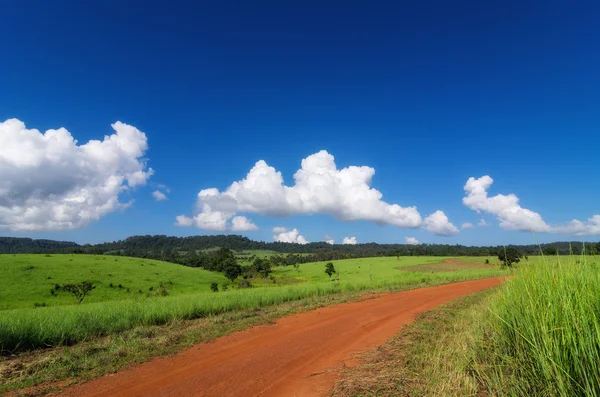 Road and Green grass field. — Stock Photo, Image