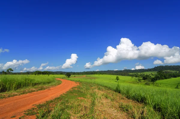 Road and Green grass field. — Stock Photo, Image