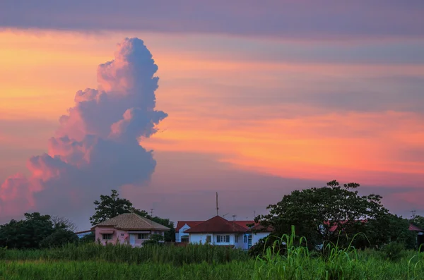 Dragón respirando fuego — Foto de Stock