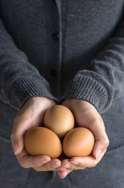 Organic eggs on the hands — Stock Photo, Image