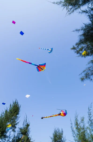 Vliegers vliegen op sky — Stockfoto