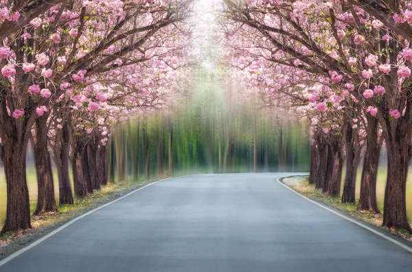 pembe trompet ağaçlar.