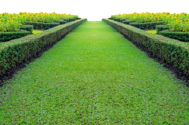 Yeşil çimenlerin üzerinde bir yol