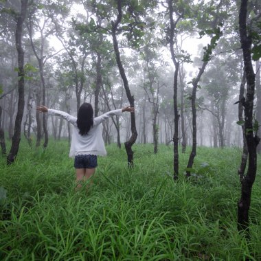 Eller yukarı ormandaki kadınla