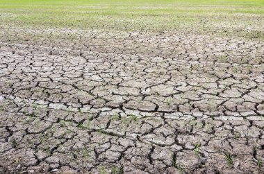 kuru çatlak toprak.