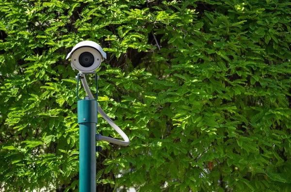 CCTV, bewakingscamera. — Stockfoto