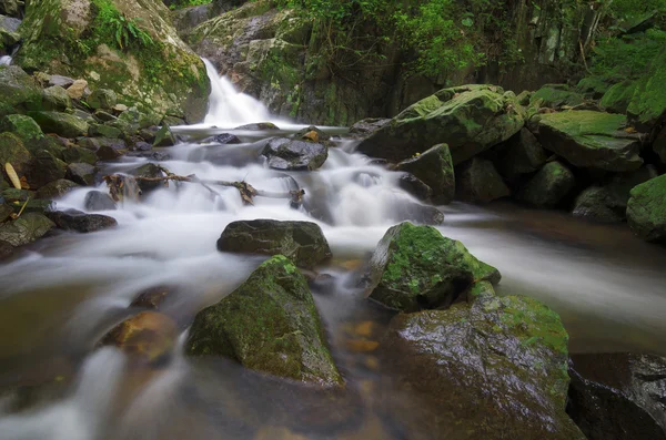 Прекрасний глибоководний лісовий водоспад — стокове фото