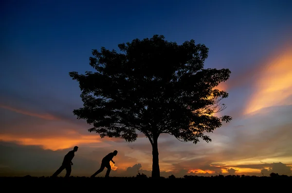 Silhouette des arbres et des hommes heureux — Photo