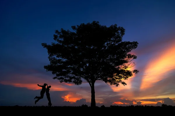 Sziluettjét a fák és a férfi boldog — Stock Fotó