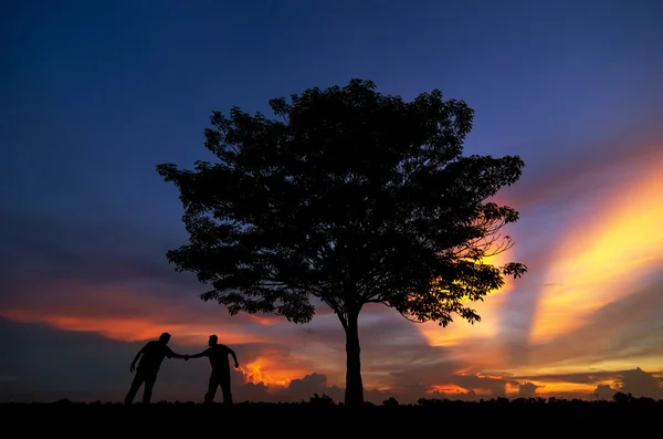 People shakes  hands near the tree — Stockfoto