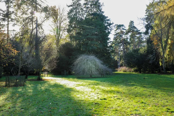 Árvores Outono Coloridas Parque Com Sombra Árvore Inglaterra Reino Unido — Fotografia de Stock