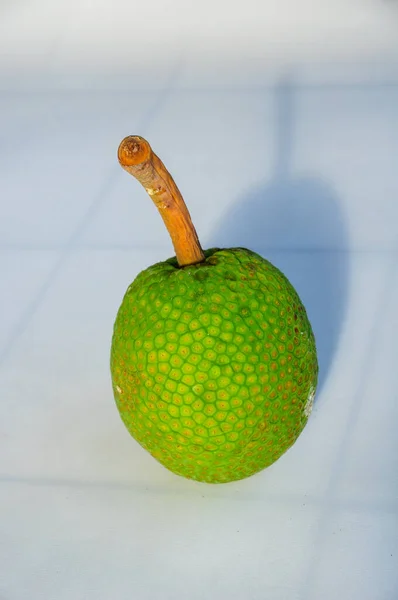 Grön Mogen Brödfrukt Isolerad Vit Bakgrund — Stockfoto