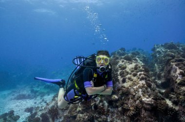 Scuba dalgıcı kayalık bir resif denizin dibinde suyun altında yüzüyor.