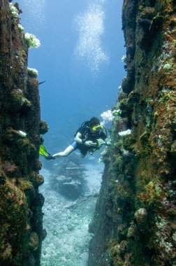 Scuba dalgıcı kayalık bir kanyon resifinde suyun altında yüzüyor. Seyşeller