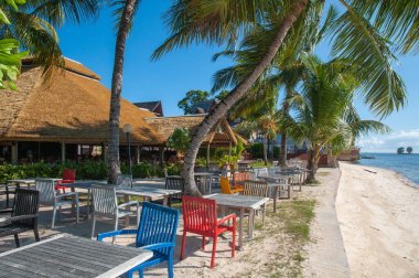 La Digue Adası, Seyşeller, tropikal tatil beldesi La Digue Adası Locası, güneşli bir günde palmiye ağacı ve kıyı şeridi olan sahil restoranı manzarası