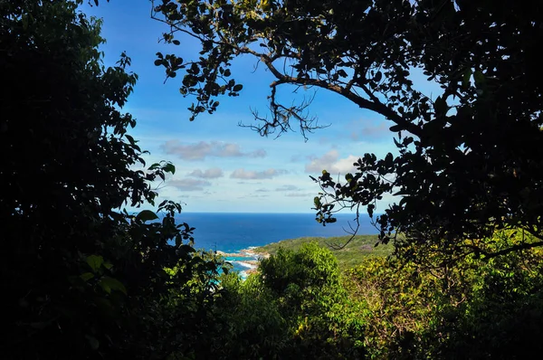 环视热带海岸线的全景 地平线穿过印度洋 穿过茂密的原始森林 塞舌尔拉迪古岛大湾 — 图库照片