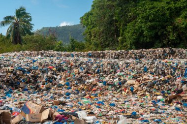 Açık hava temizleyicileri Seyşeller 'e dökülüyor.