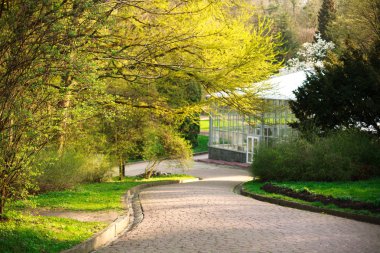 Park geçit yaz Botanik bahçesinde