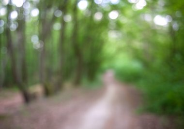 Arka plan doğa ülke iz yeşil orman bulanıklık 