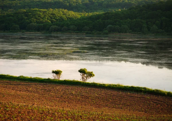 Paisagem agrícola rural, campo na margem do rio — Fotografia de Stock