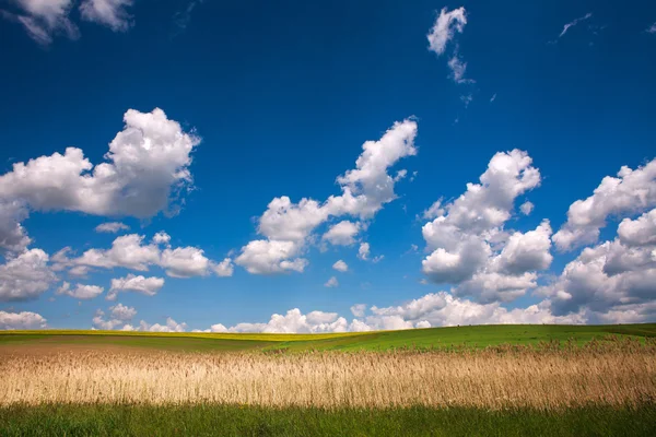 Paisaje rural del campo bajo el cielo azul — Foto de Stock