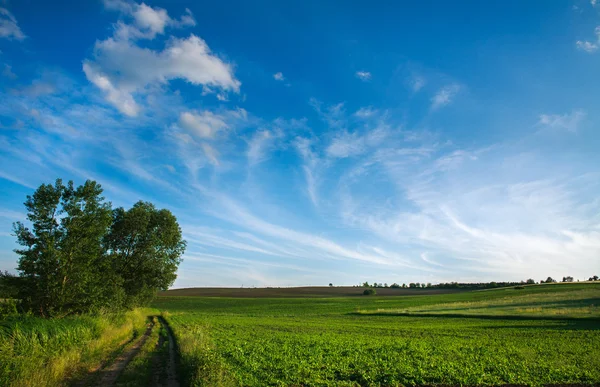Kırsal yol gökyüzü arka plan üzerinde yeşil alanları — Stok fotoğraf