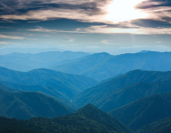 Mountain covered green trees in background of sunny sky